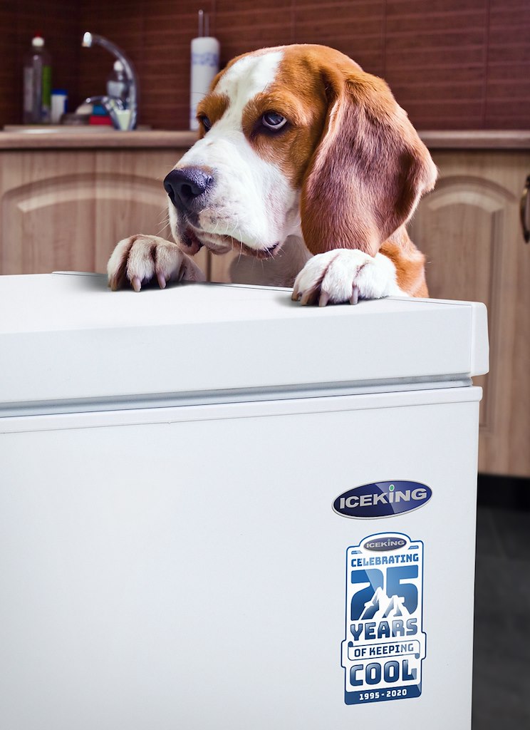 ICEKING CF97W.E CHEST FREEZER