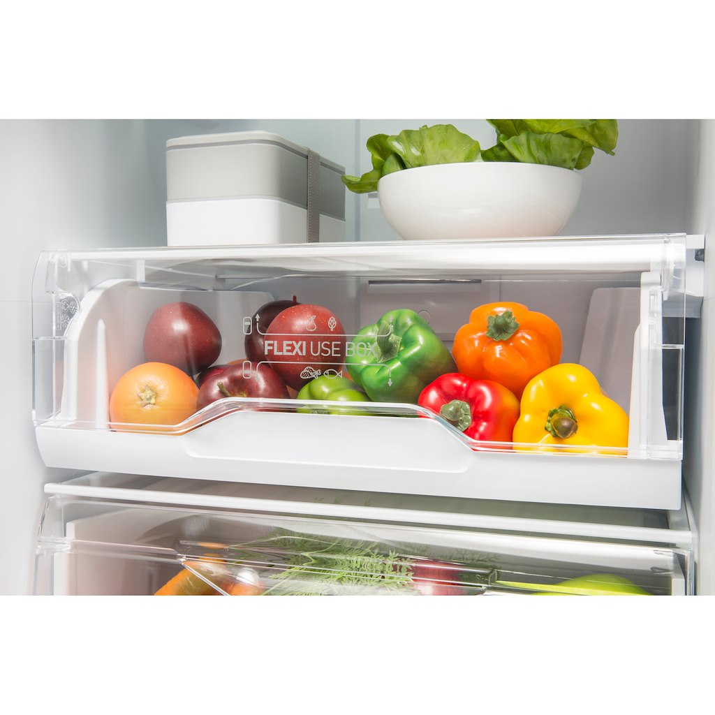 Freestanding fridge freezer: frost free