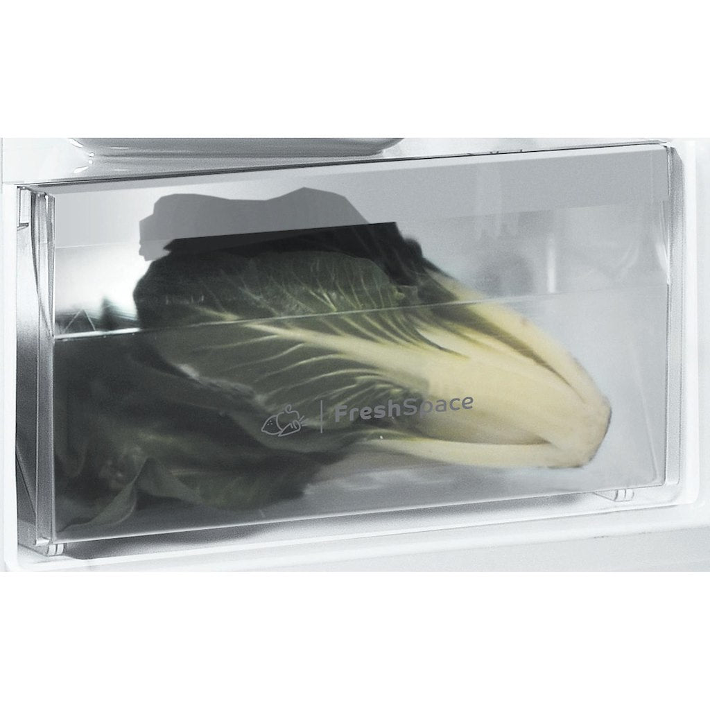 Low Frost  Tall Larder Fridge - White - 59.5CM - 323L