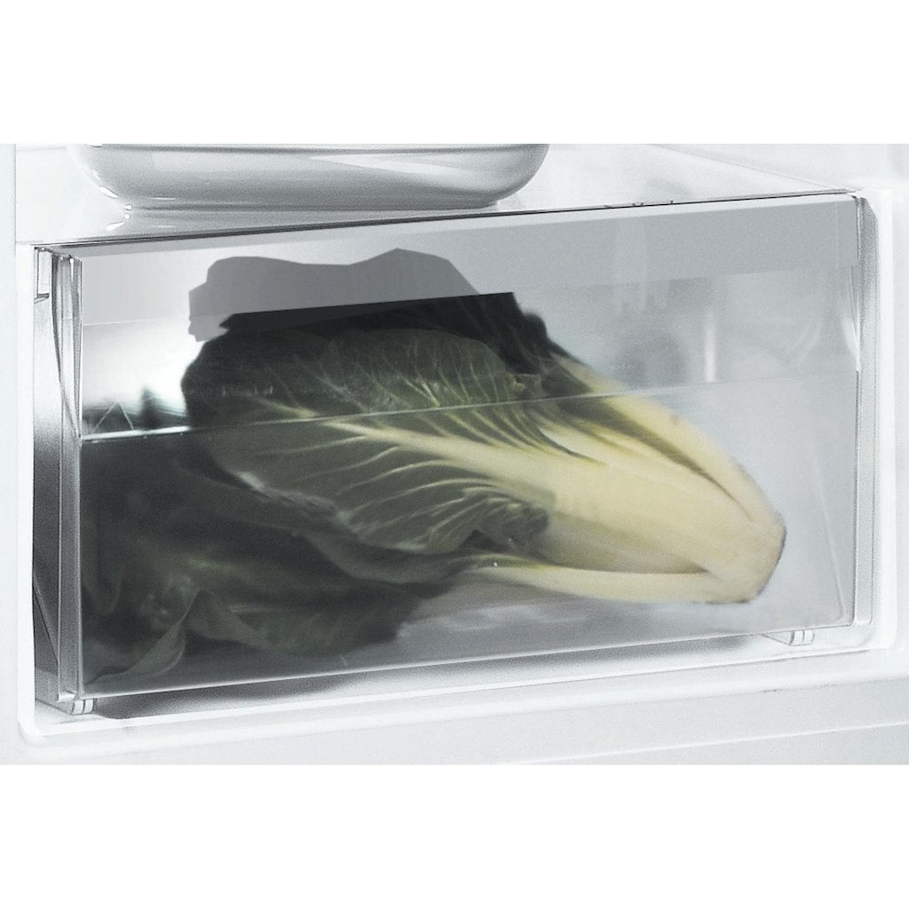 Freestanding fridge: silver colour - SI6 1 S 1